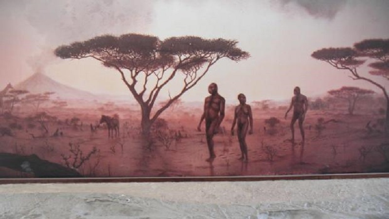 Tanzania culture tour