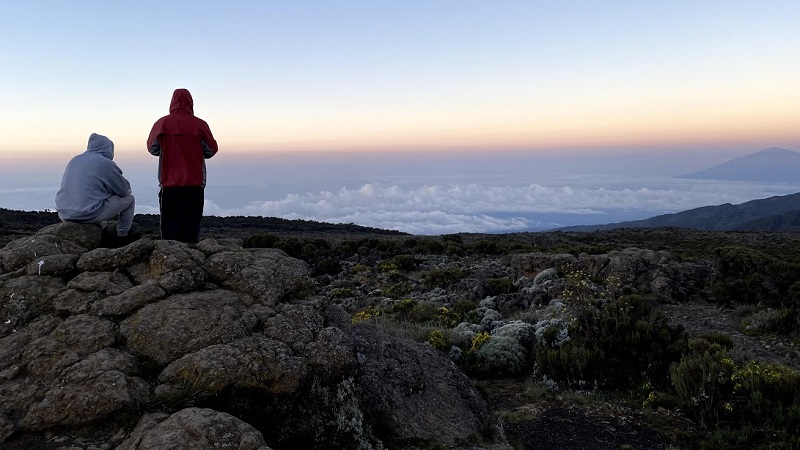 8 days northern circuit